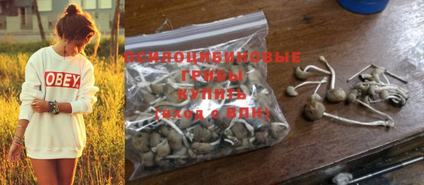 прущие крисы Няндома