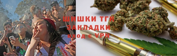 индика Новозыбков