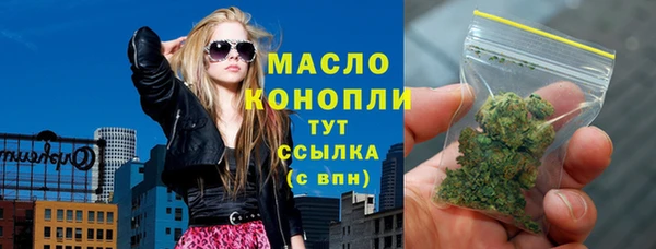 индика Новозыбков